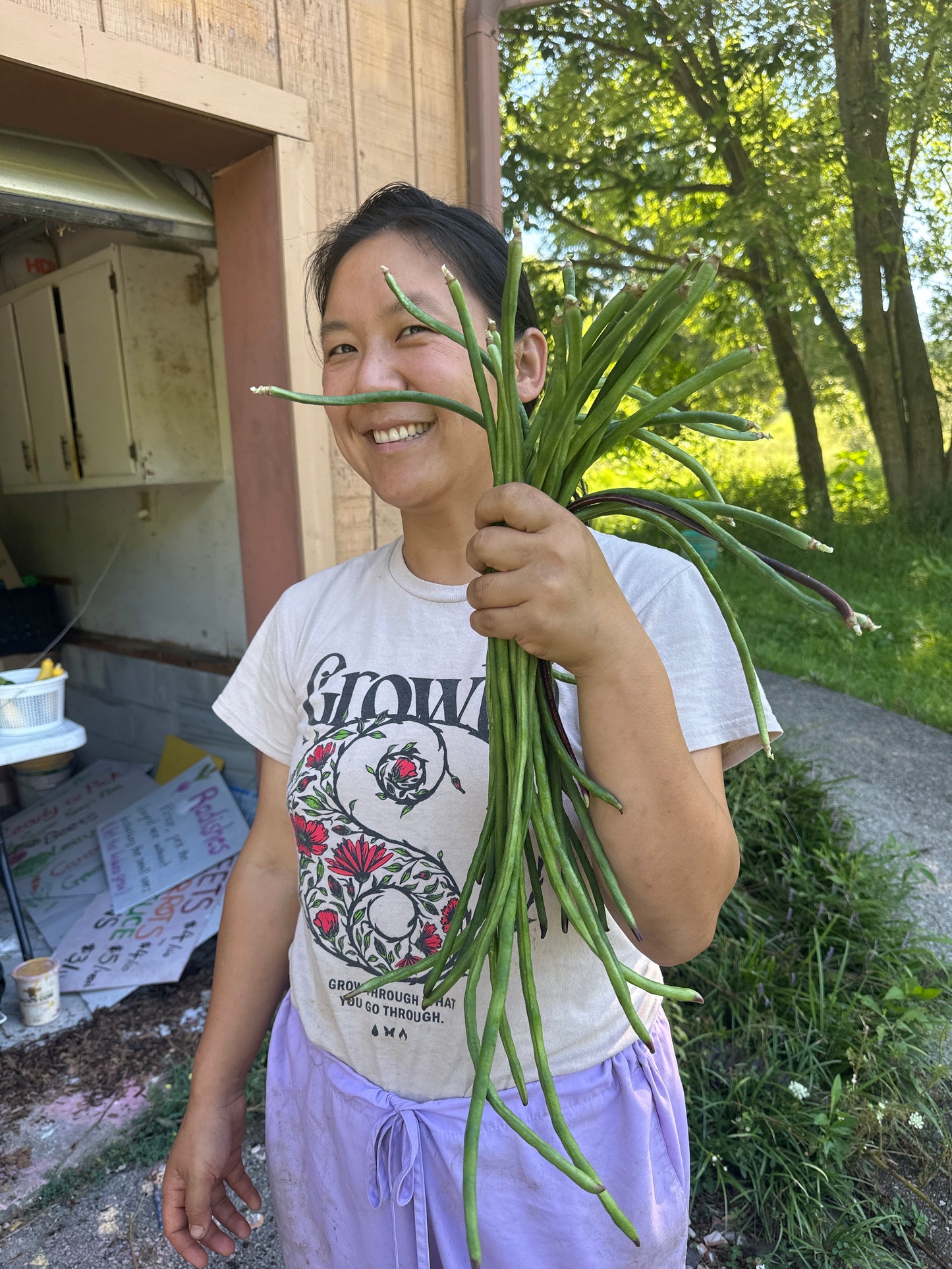 Green beans / asparagus beans